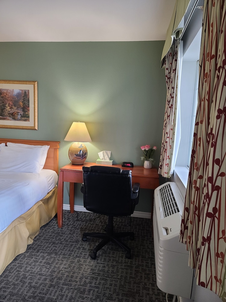 Tulip Inn 31/32
