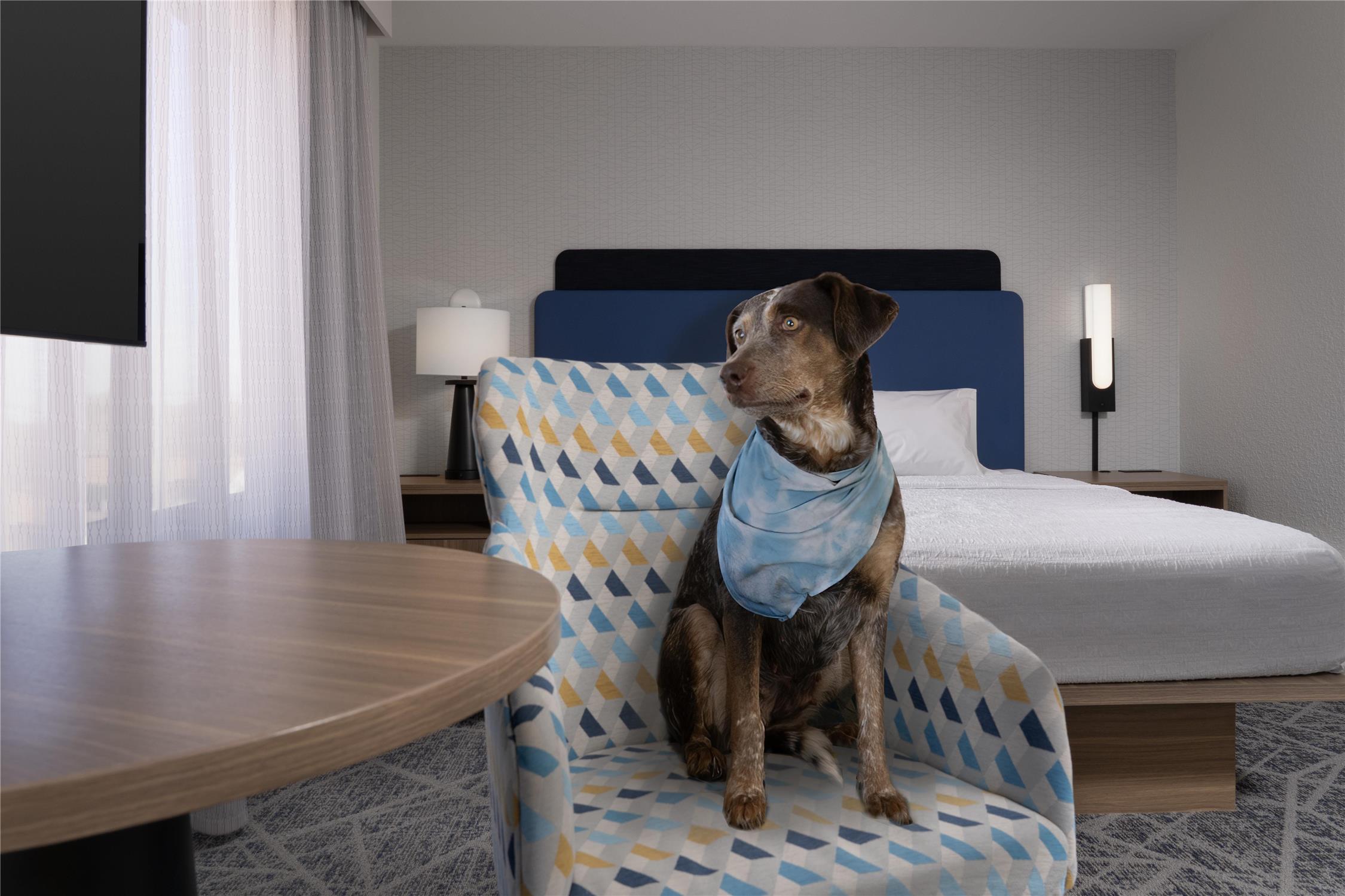 Hampton Inn And Suites Roswell 8/34