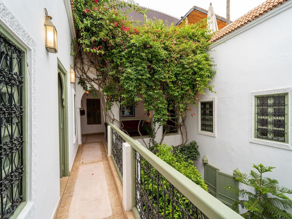 Riad Timila 4/50