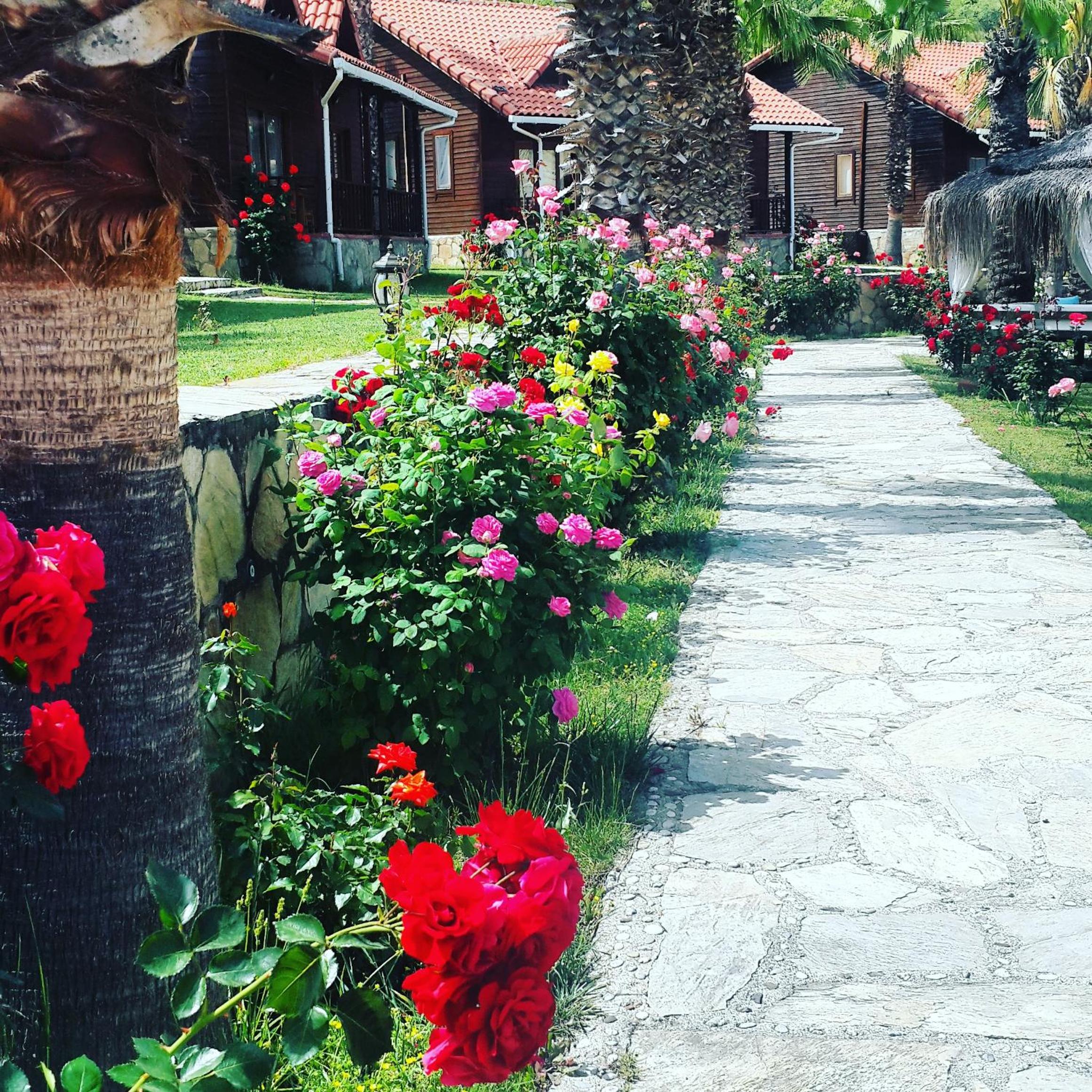 Club Sun Village 45/56
