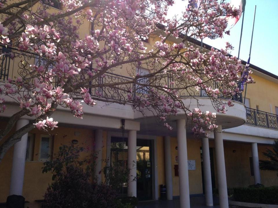 Hotel Mercede 2 2/50