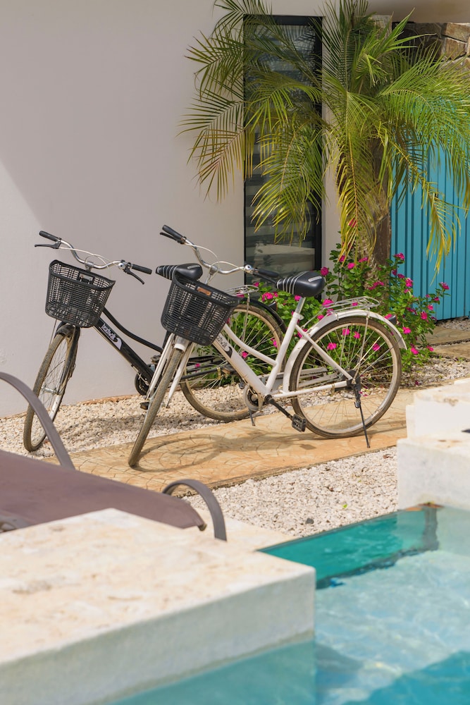 Villas VR Beachwalk Avellanas 28/49