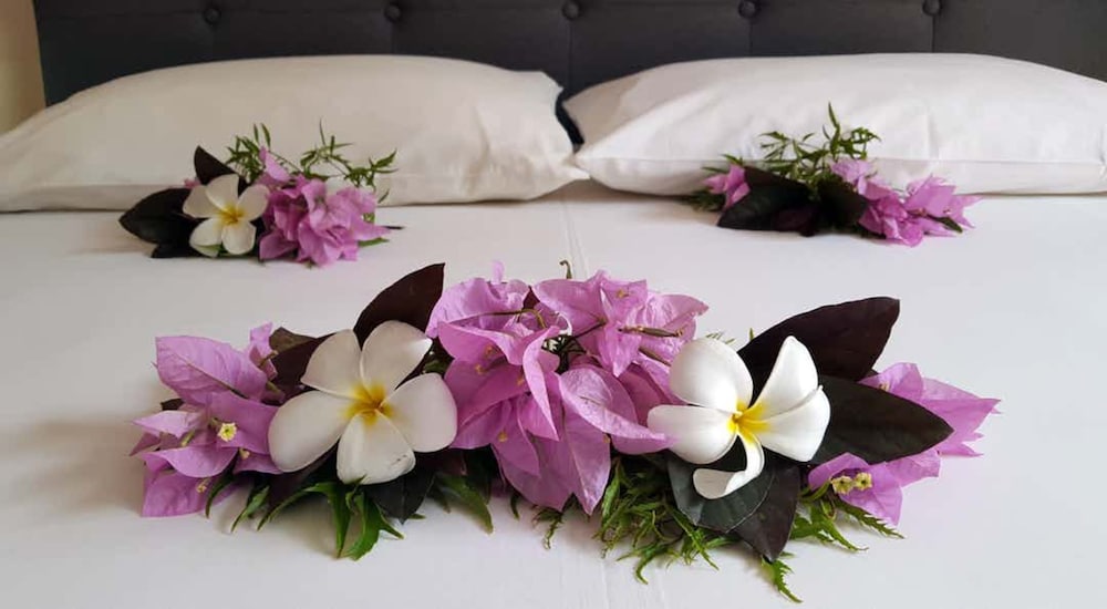 Hotel Hibiscus 39/75