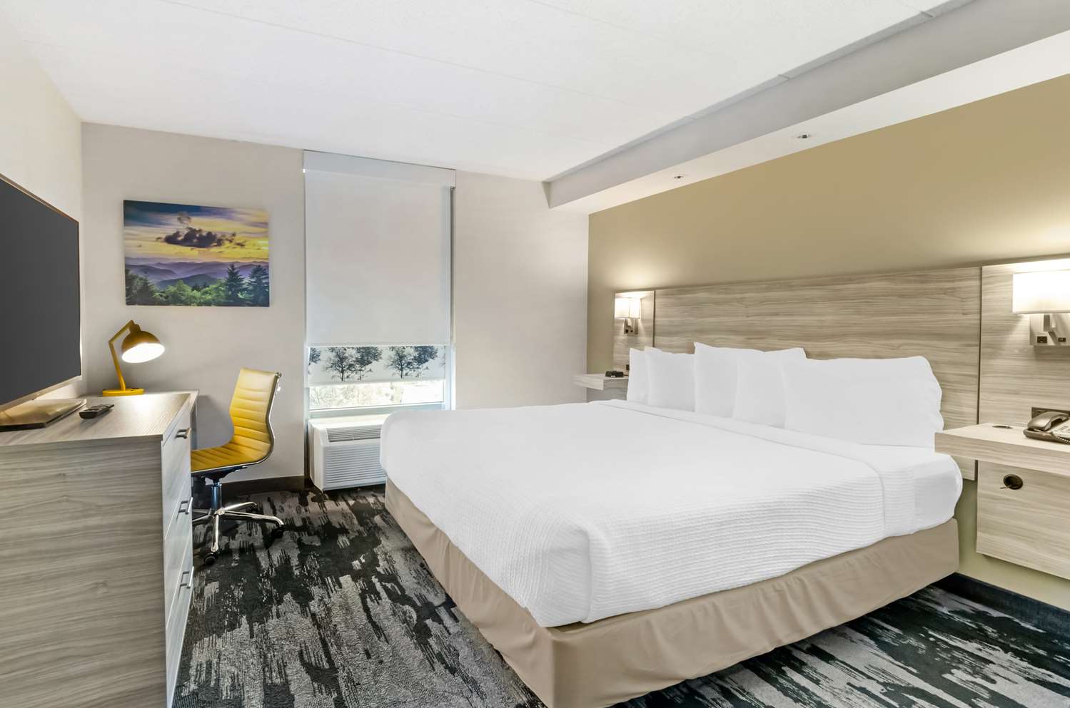 Suite, King Bed
