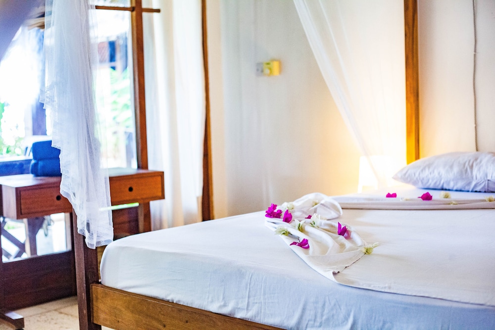 Arthotel Zanzibar 12/50