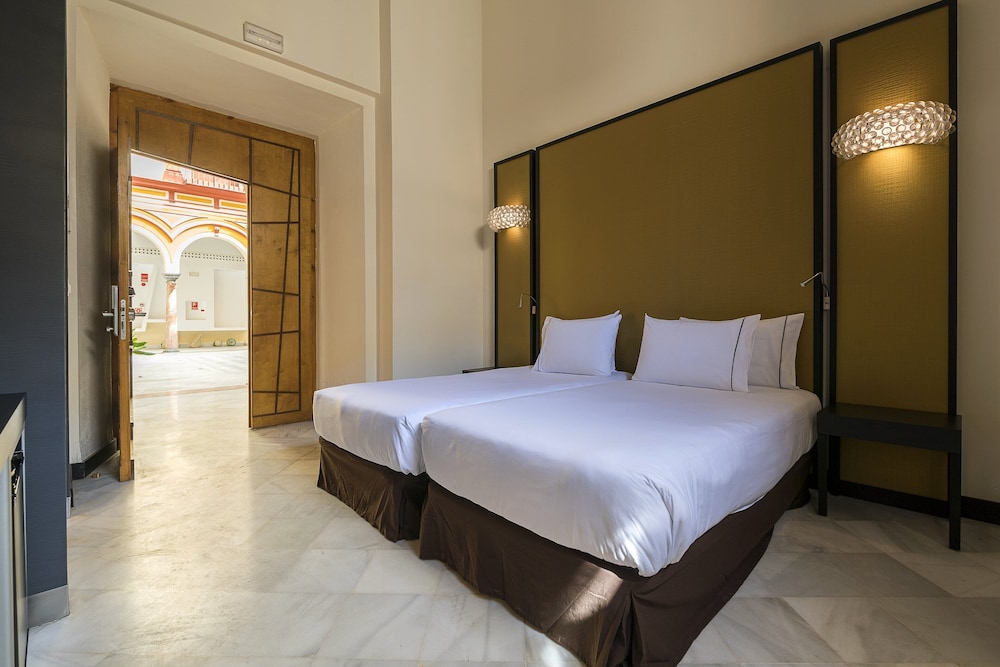 Hotel Palacio Marques de Arizon 39/100