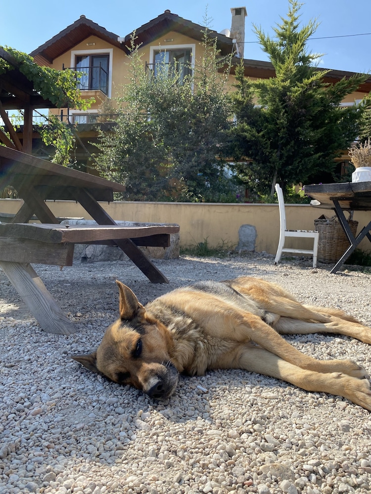 Dessera Vineyards Hotel 32/40