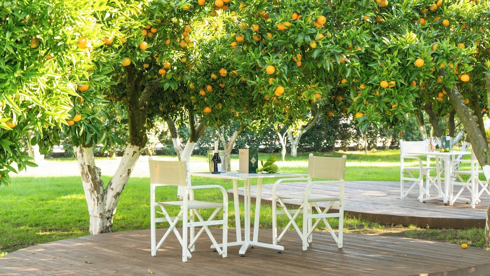 Resort Bosco De Medici 70/75