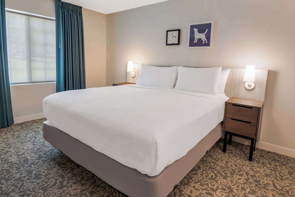 1 BEDROOM, SUITE, KING BED