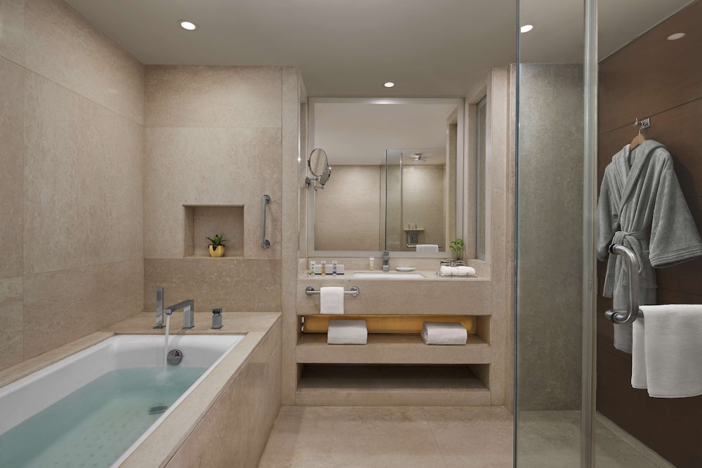 Hyatt Centric Janakpuri New Delhi (ex. Piccadily Janakpuri) 39/64