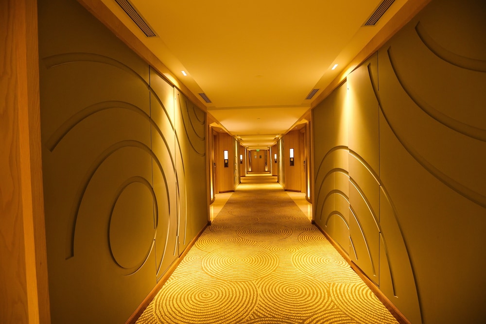 Radisson Bhopal 38/64