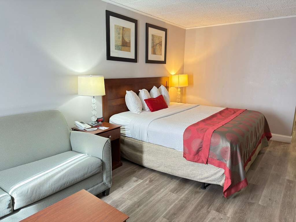 1 Bedroom, Suite, King Bed