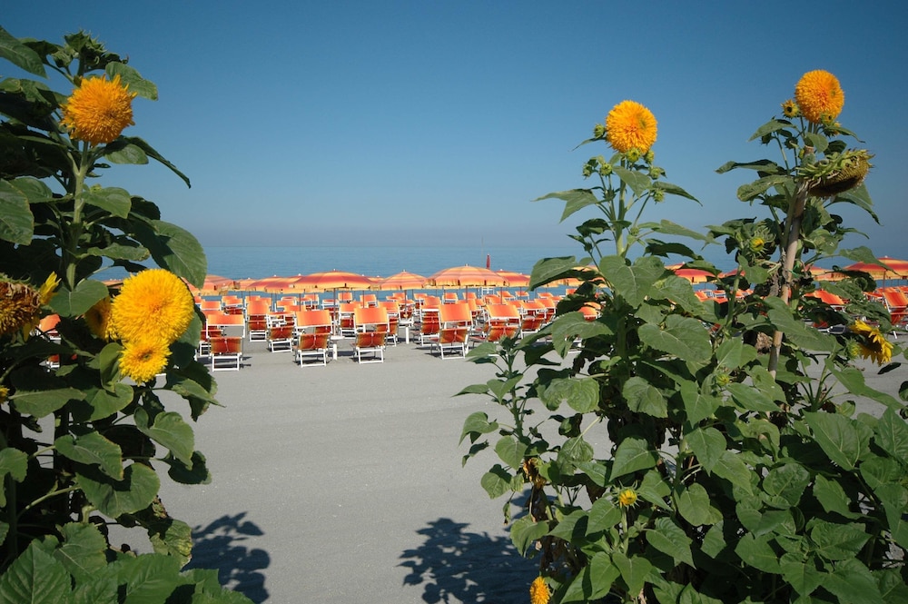Mediterraneo Palace Hotel 24/31