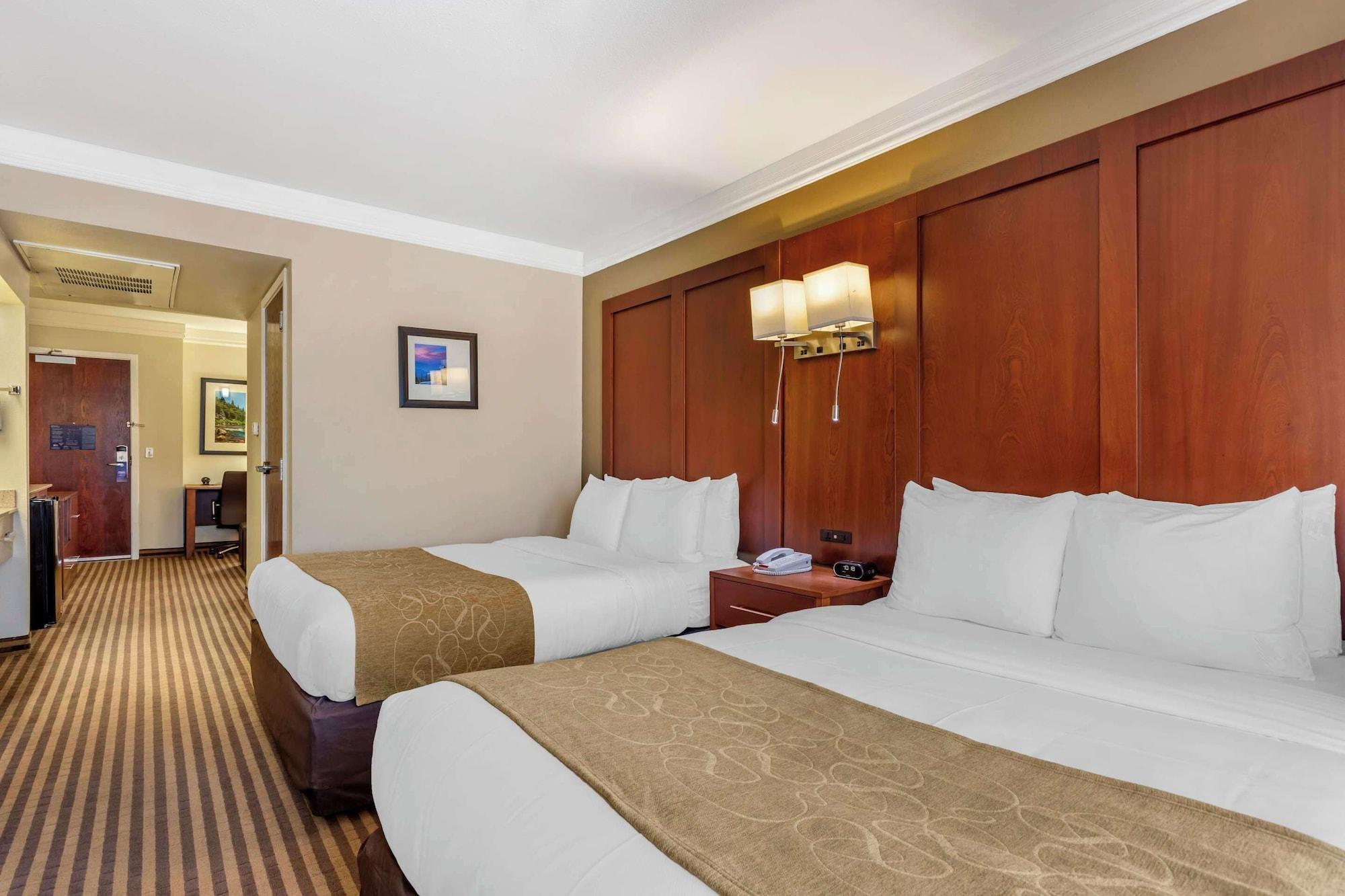 Suite, Multiple Beds, Accessible