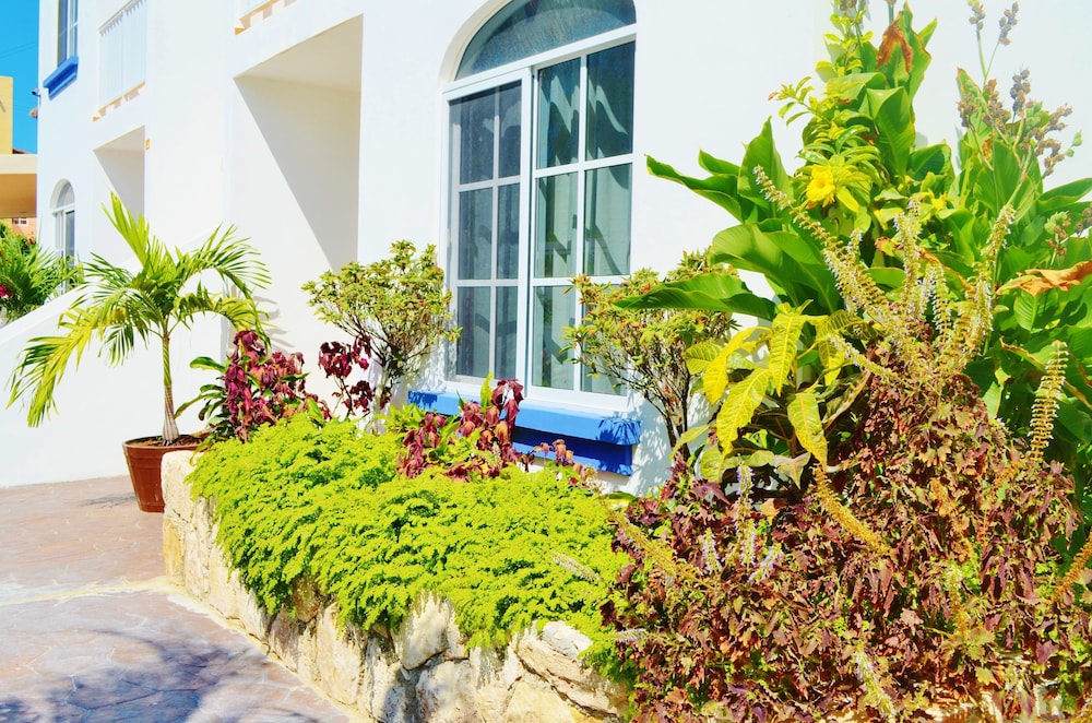 Corales Suites 44/50