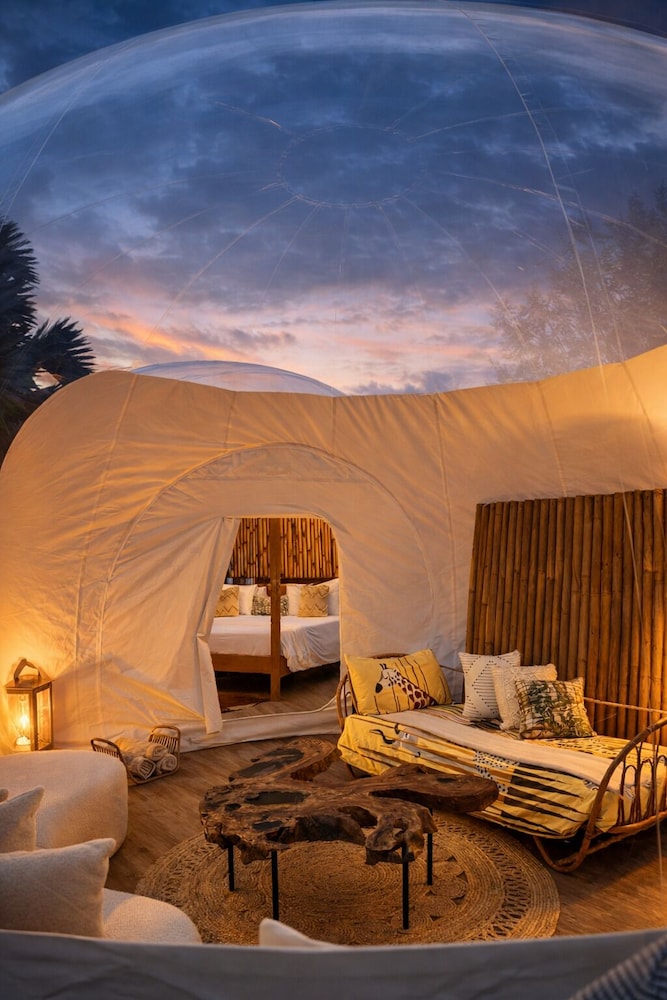 Green Land Bubble Glamping 32/60