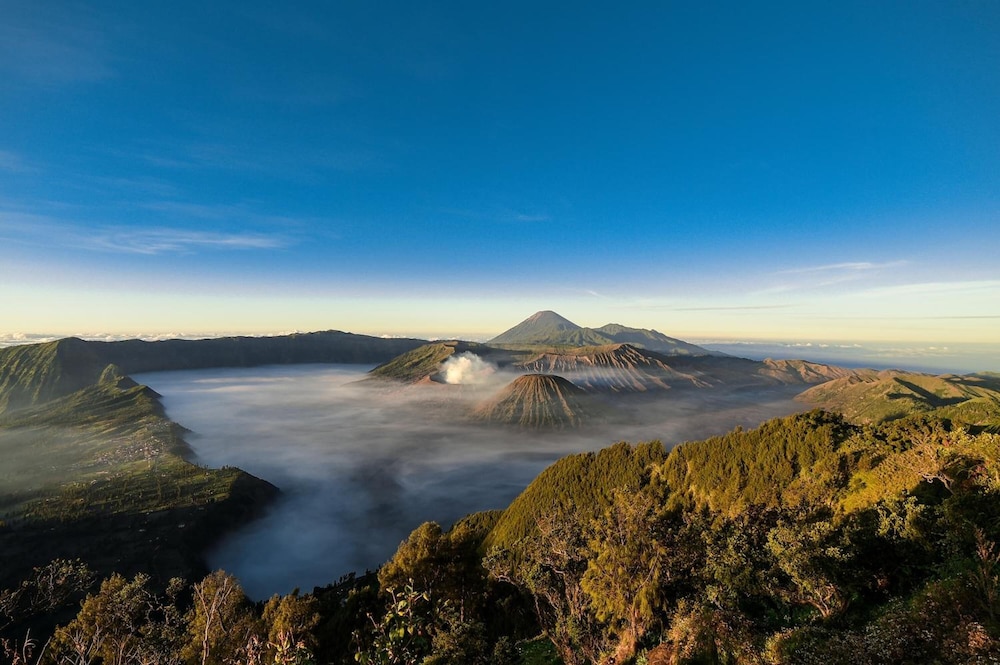 Grand Whiz Hotel Bromo 53/60