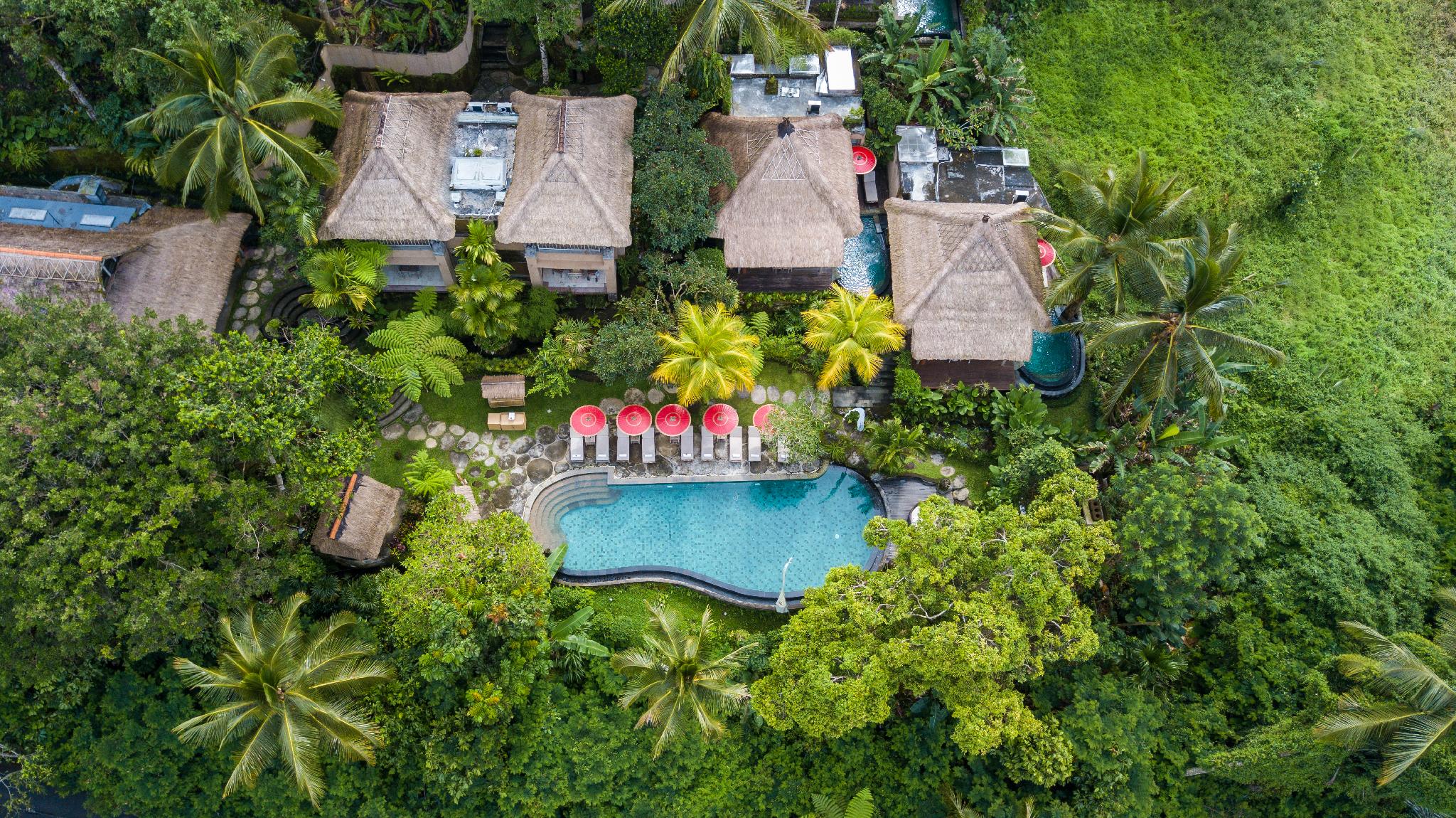 Garden Pool, Villa