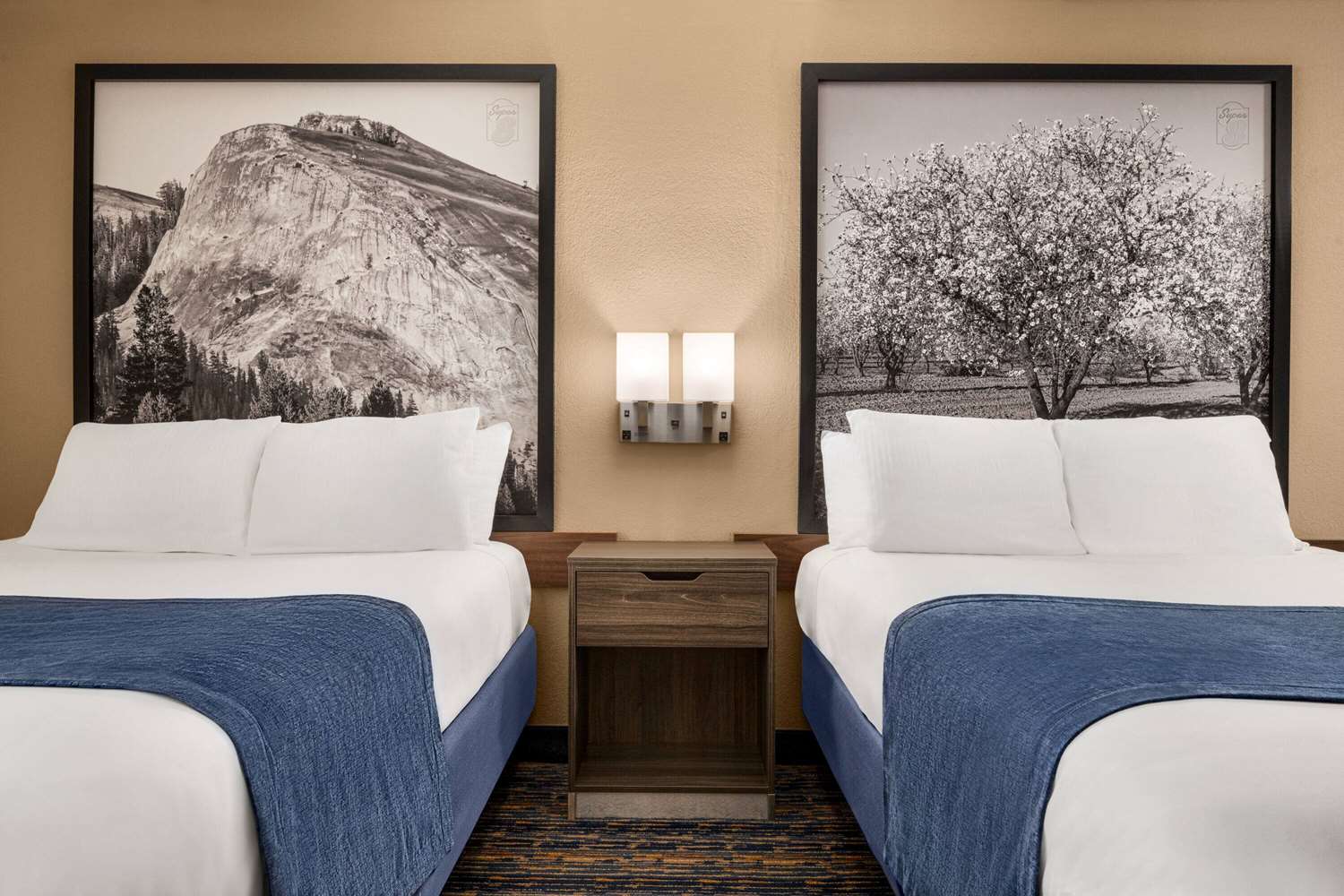 Super 8 By Wyndham Lindsay Olive Tree 26/61