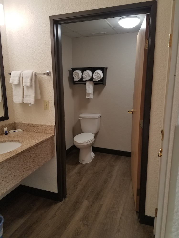 Best Western Plus Newark/Christiana Inn 13/30