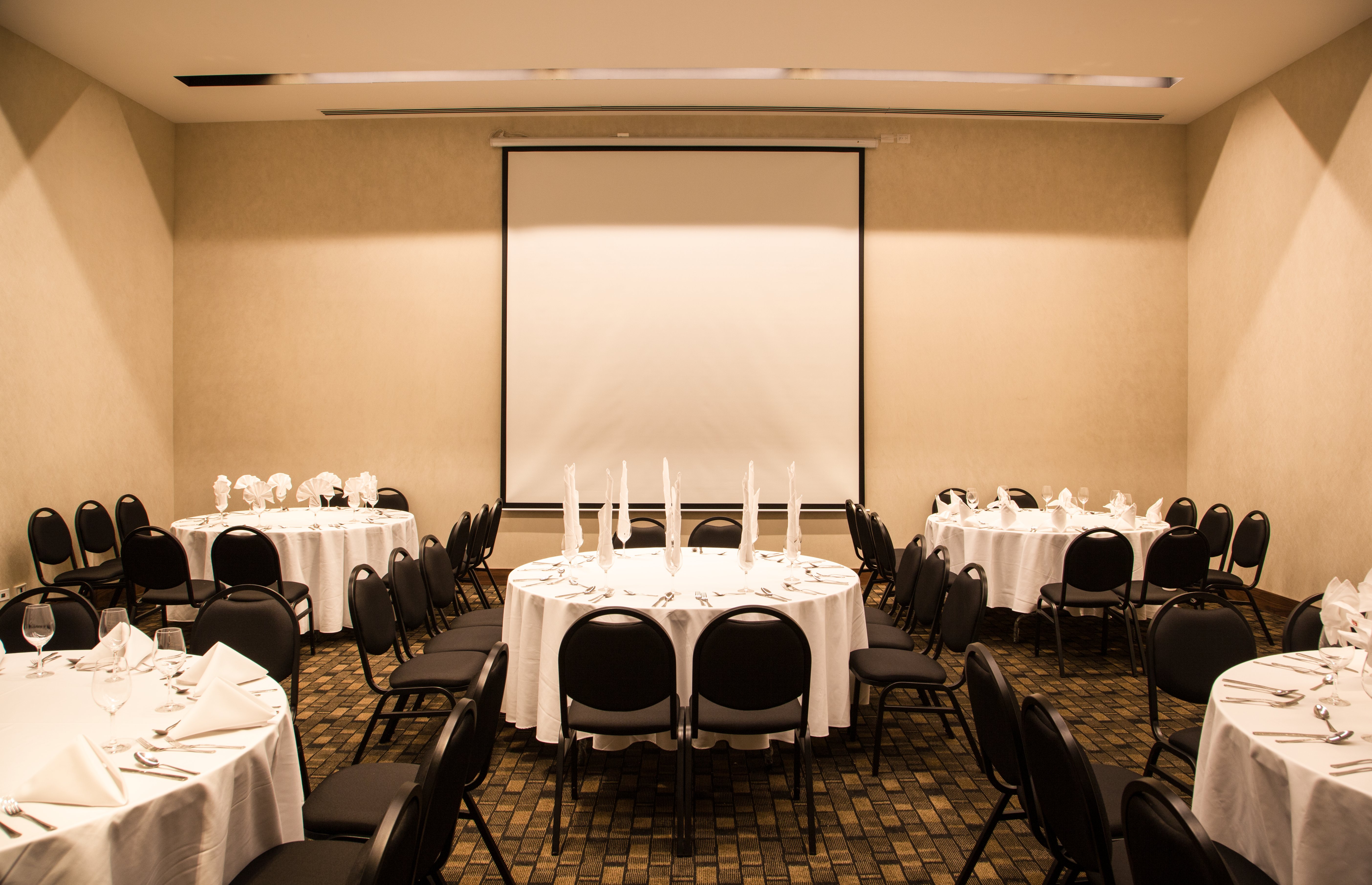 Fiesta Inn Plaza Central Aeropuerto 25/26