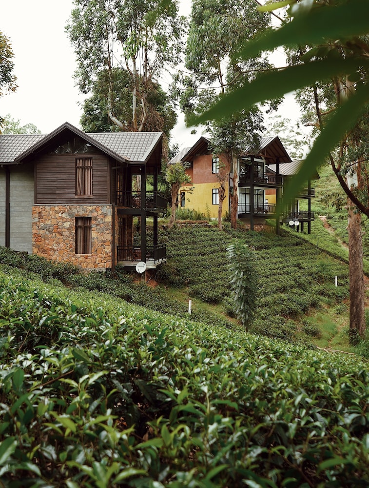 The Farm Resorts 36/50