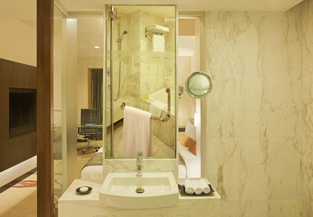 Radisson Blu Hotel Amritsar 22/70