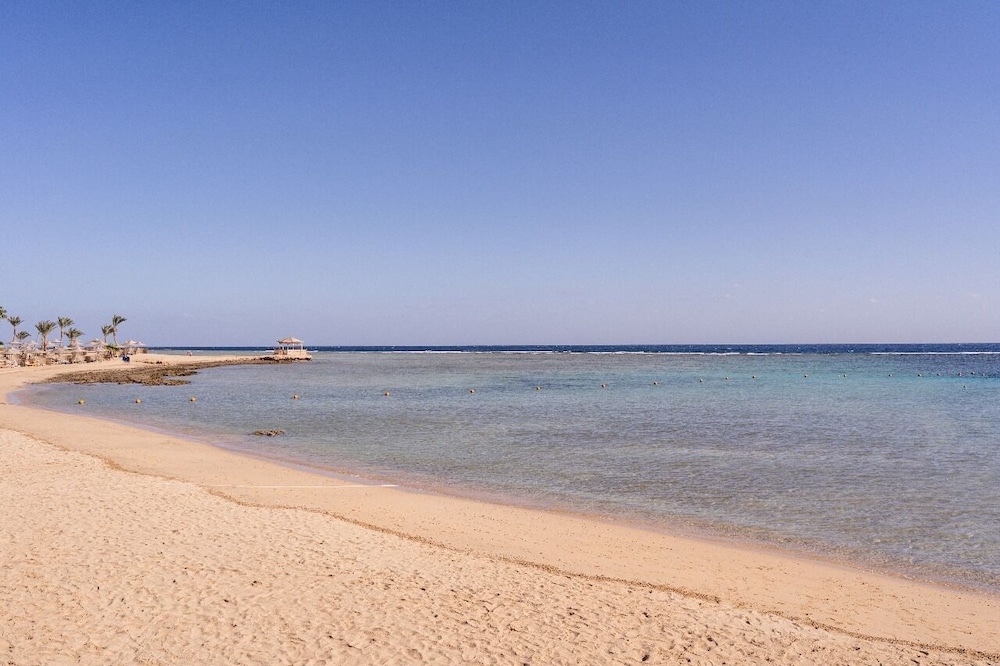 Shoni Bay 43/50