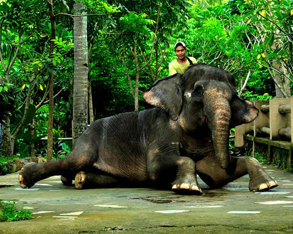 Mangsit Suite By Holiday Resort Lombok 32/39