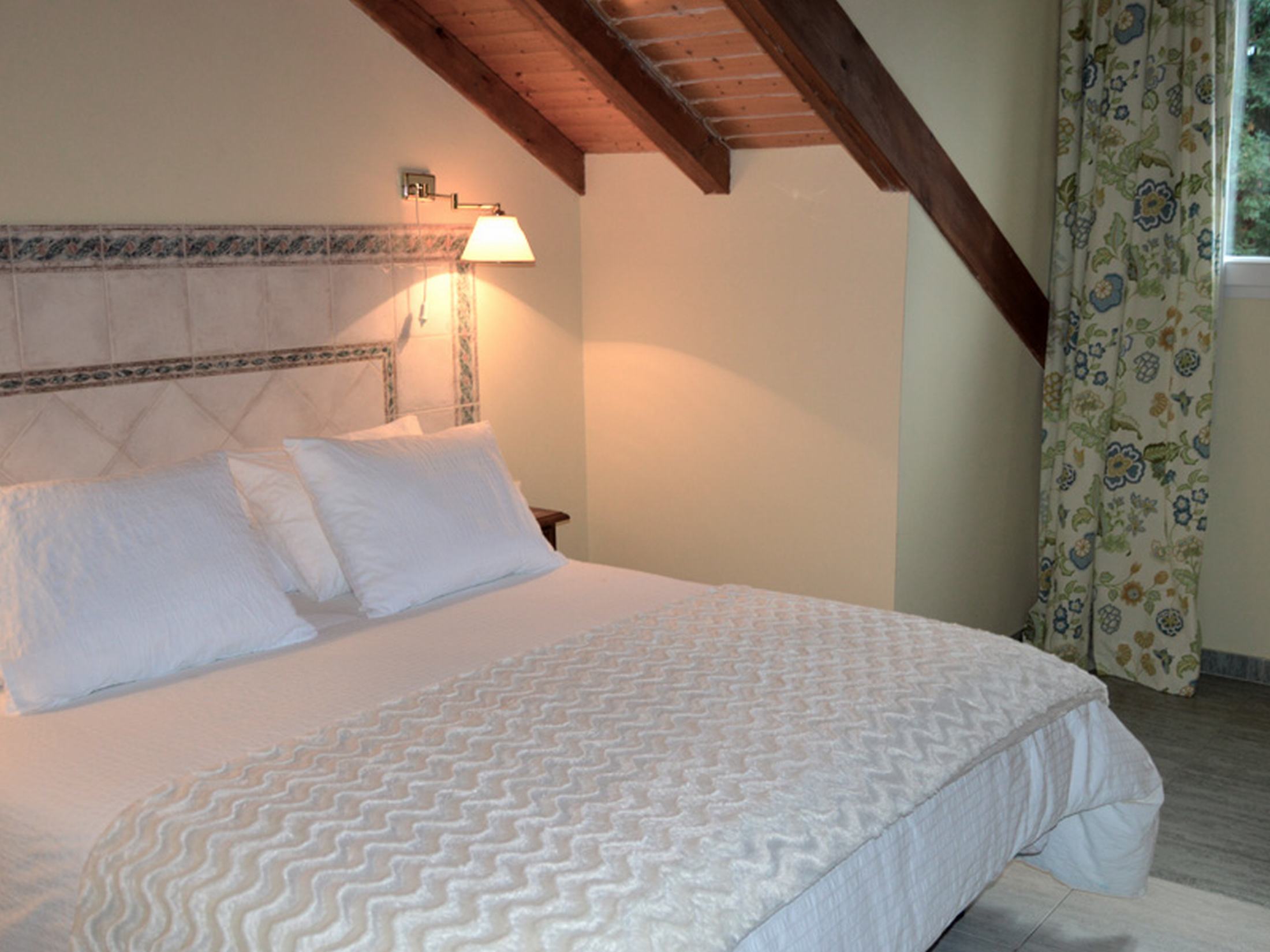 Hotel Balneario Parque de Alceda 12/41