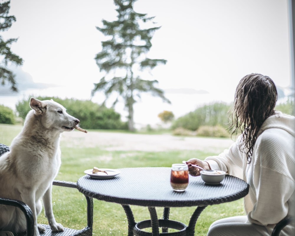 Best Western Plus Tin Wis Resort 21/66