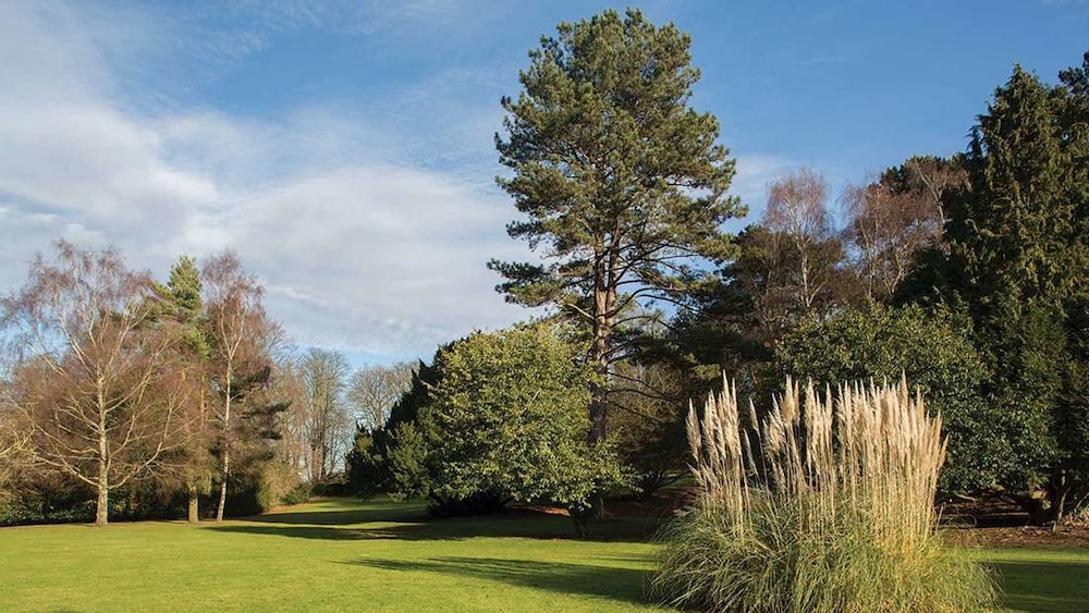 Brandshatch Place Hotel and Spa 43/48
