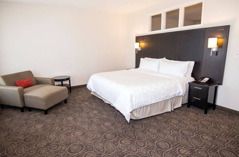 Holiday Inn Red Deer South 21/76