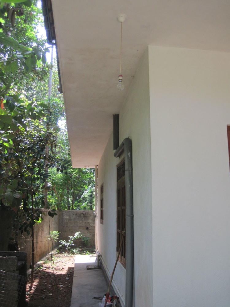 Jungleside House 43/50
