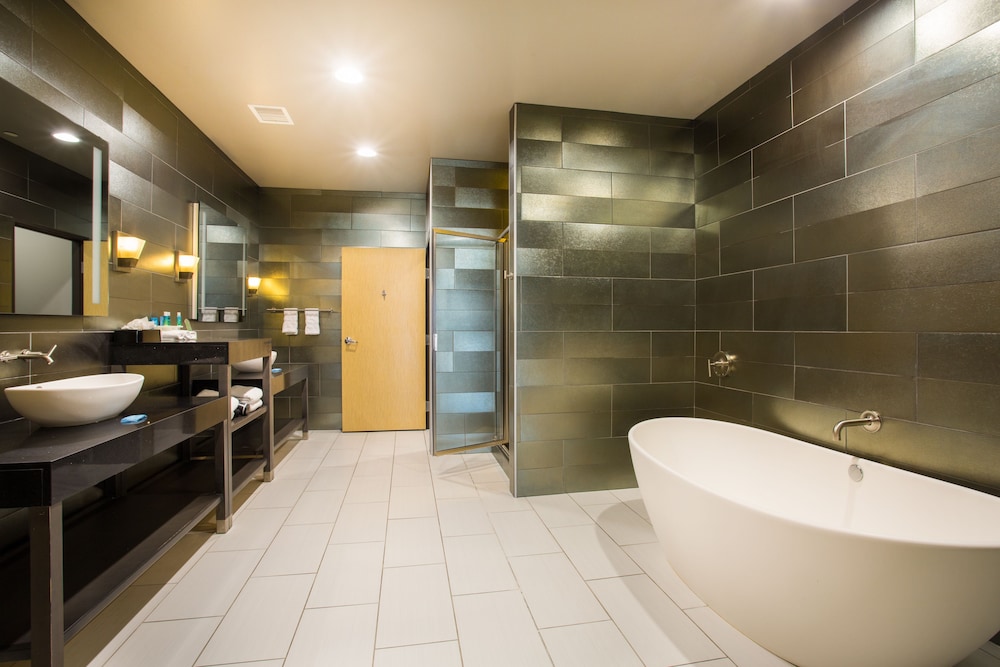Holiday Inn Express Hotel Suites Amarillo West 18/71
