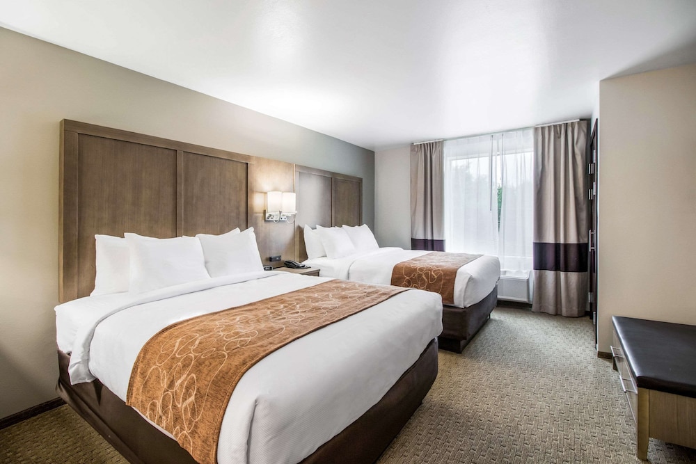 Comfort Suites Columbia I-65 11/47