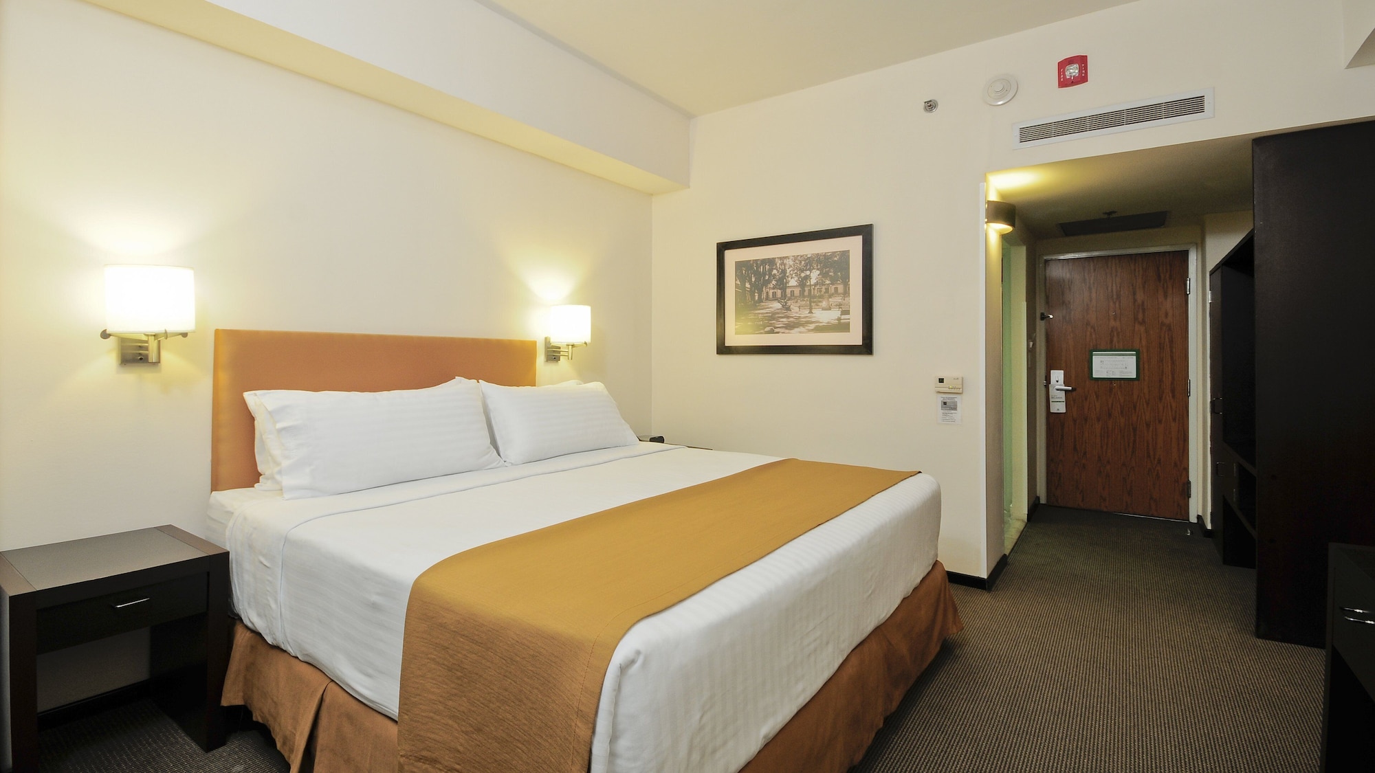 غرفة قياسية بسرير فردي، Holiday Inn Uruapan 2/10