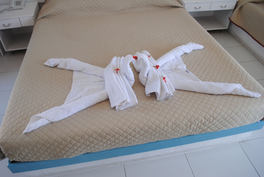 Summer Dream Hotel photo2