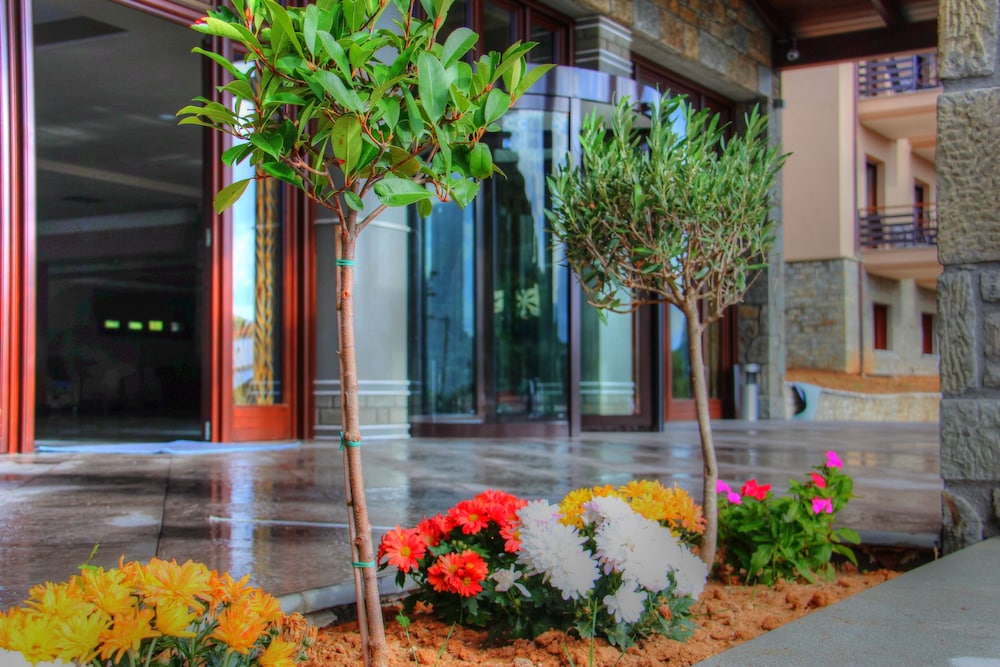 Grand Meteora Hotel 16/60