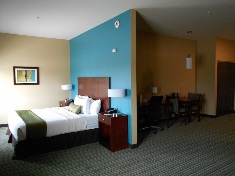 Best Western Plus Patterson Park Inn 21/43