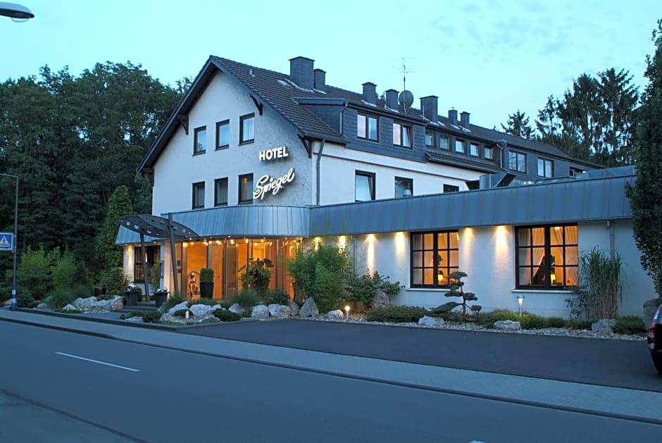 Hotel Spiegel 1/50