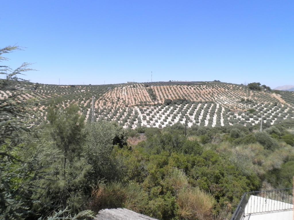 Hotel Sierra de Araceli Lucena 24/25