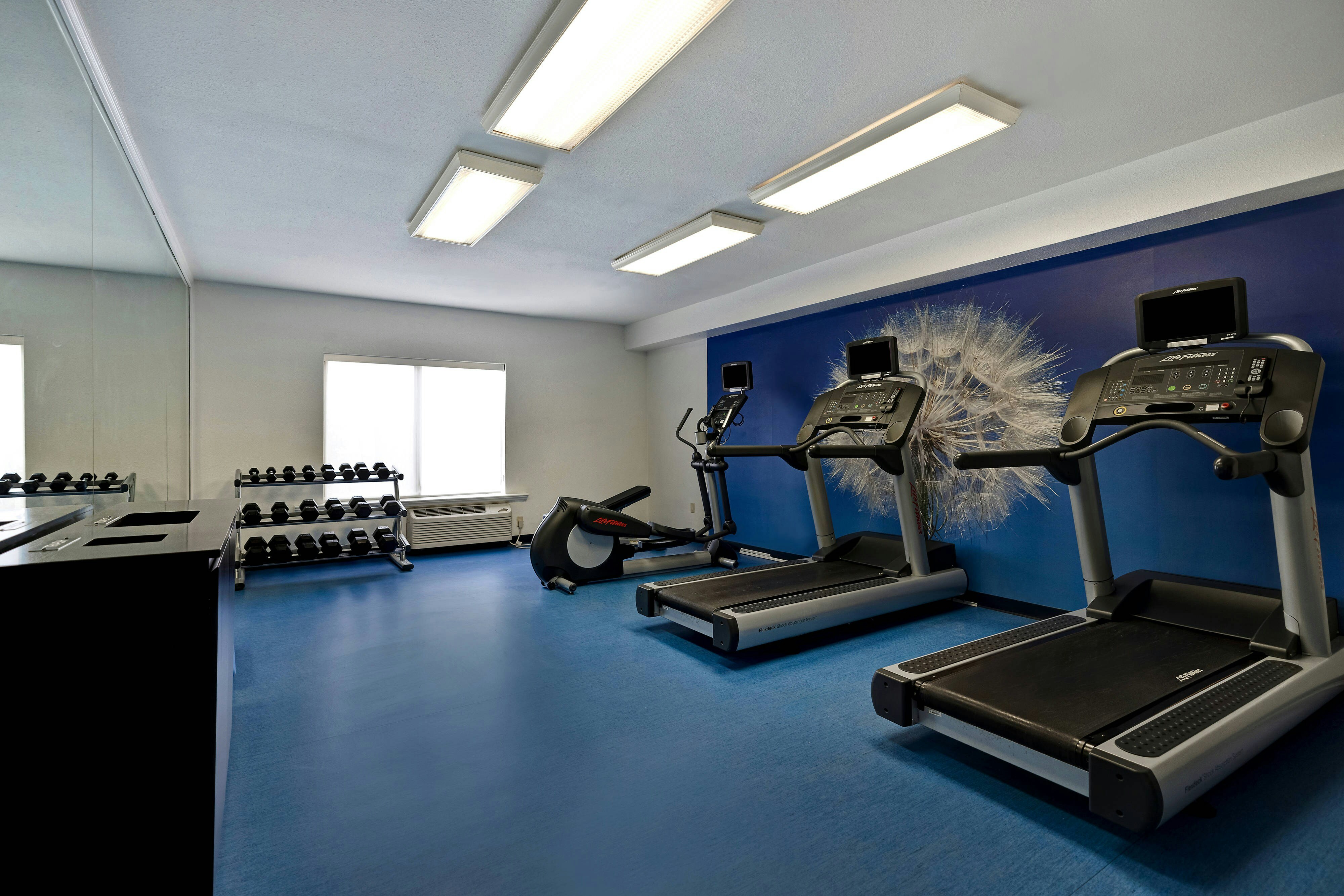 Springhill Suites Las Cruces 32/49