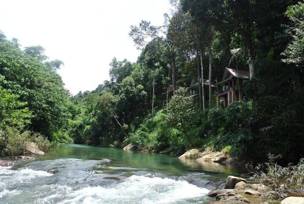 Khaosok Rainforest Resort 37/50