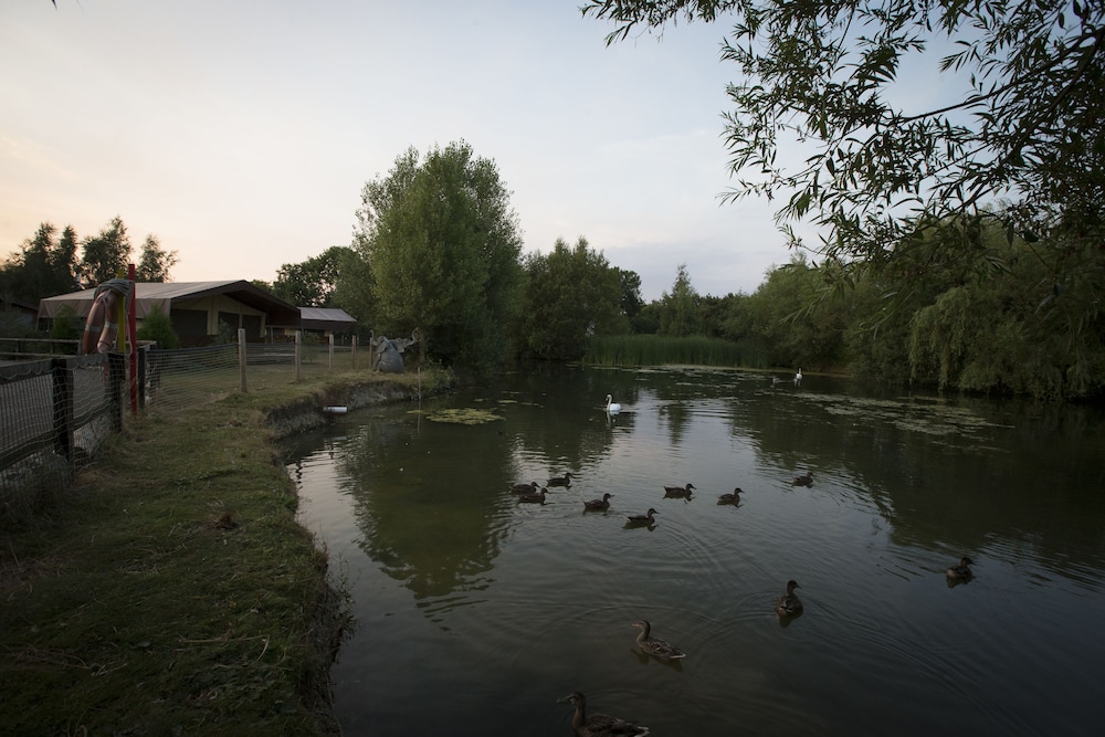 Adventurer's Village Milton Keynes 40/49