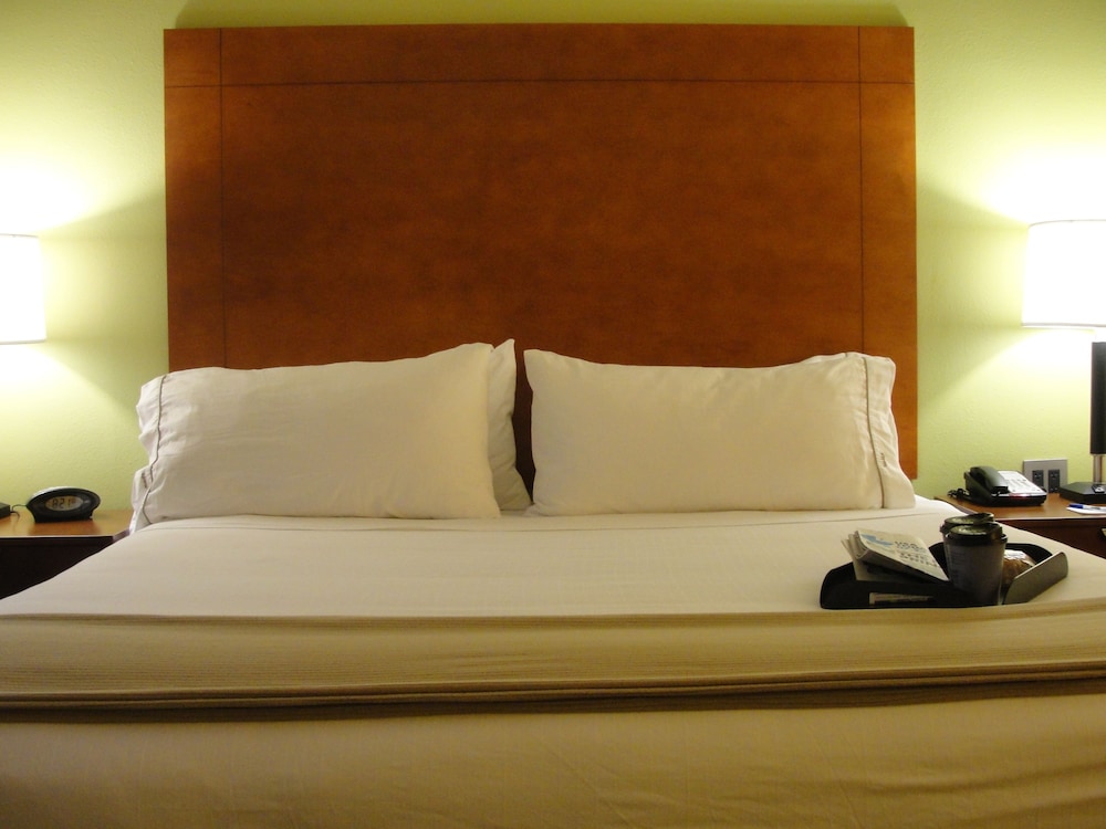 Holiday Inn Express Hotel Suites Atlanta East Lithonia 28/66