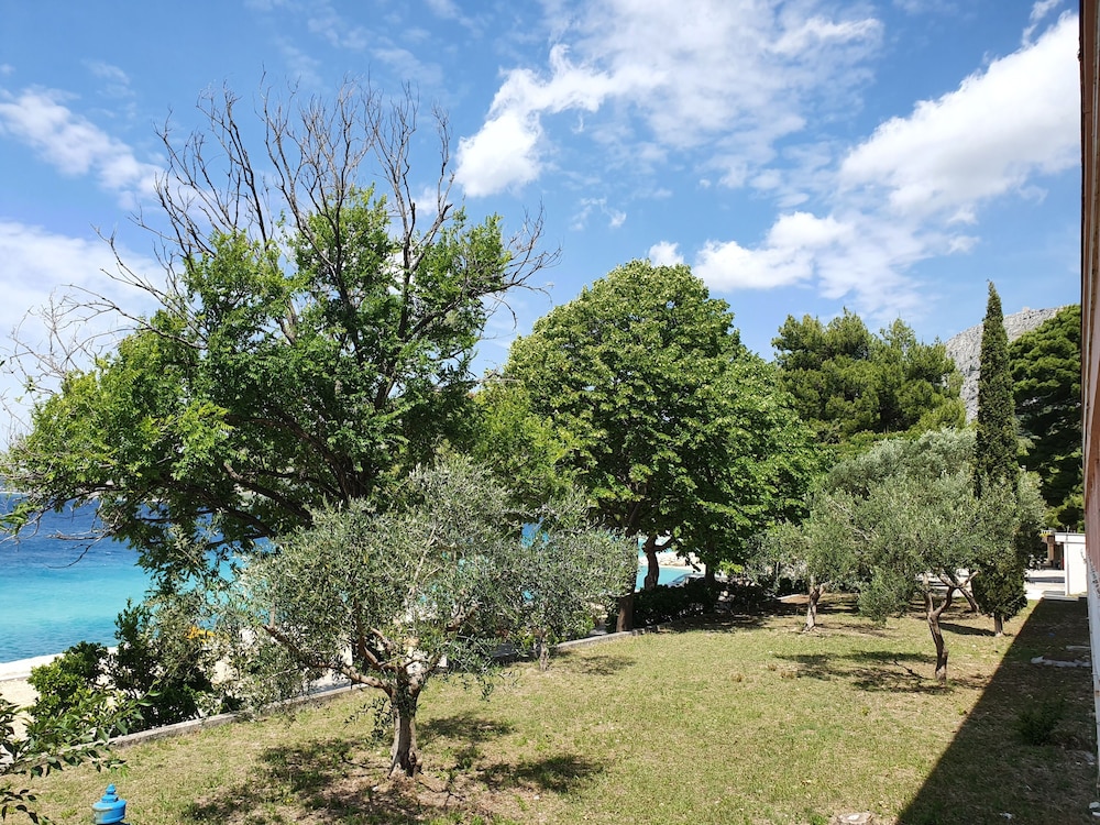 BRZET HOTEL OMIS 39/50