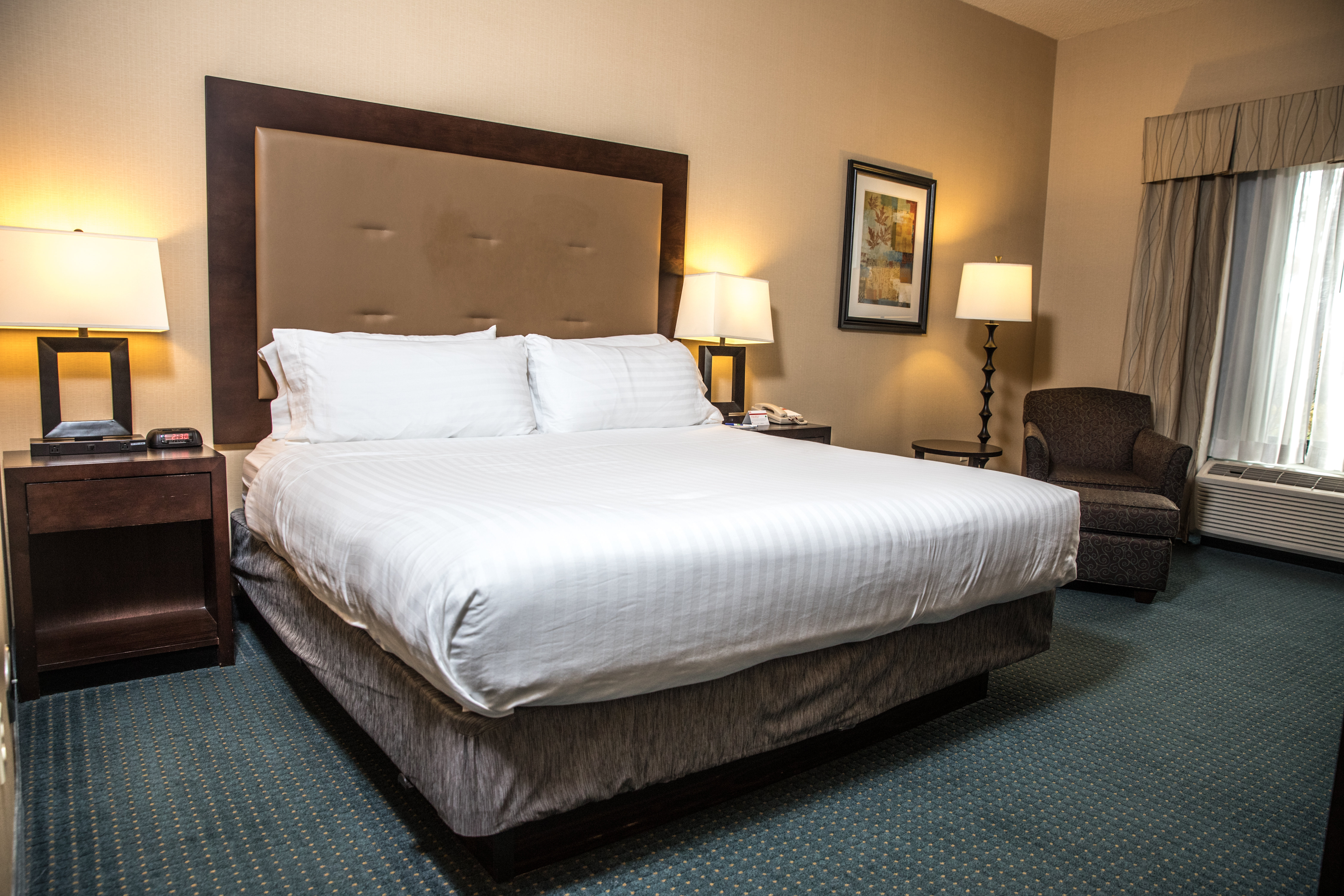 Holiday Inn Express Hotel & Suites Detroit-Novi 16/69