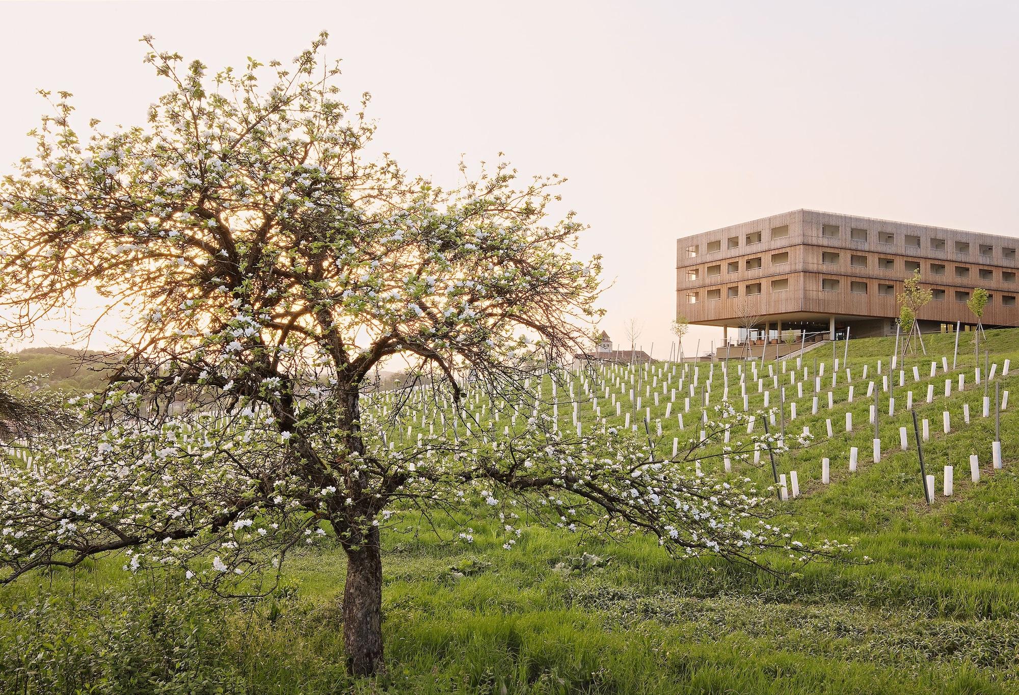 Loisium Wine & Spa Resort Sudsteiermark 29/55