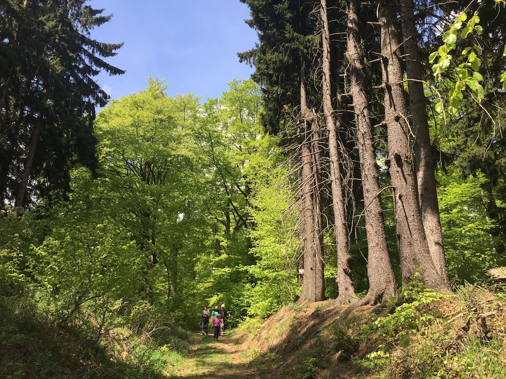 Ringhotel Weisser Hirsch 44/50